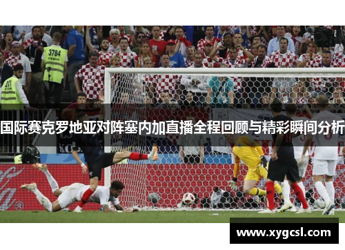 国际赛克罗地亚对阵塞内加直播全程回顾与精彩瞬间分析