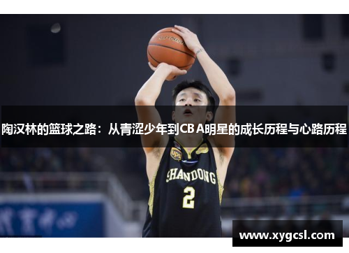 陶汉林的篮球之路：从青涩少年到CBA明星的成长历程与心路历程